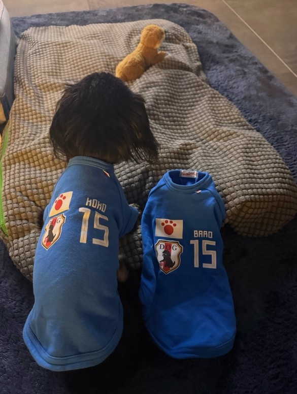 镰田大地绝平后双手指天庆祝，是纪念去世的爱犬